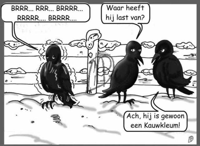 Dieren