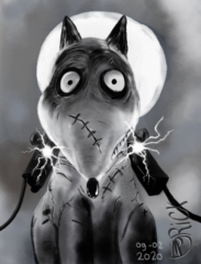 Frankenweenie Tim Burton