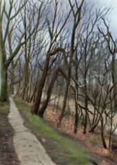 Landschap