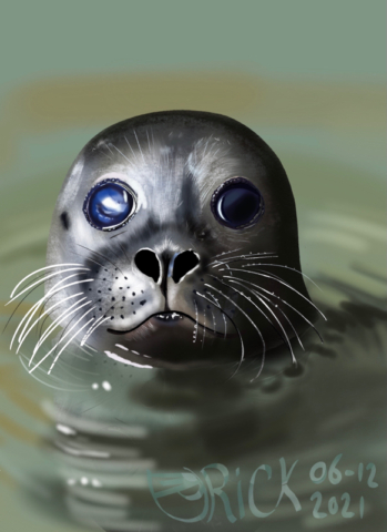 Seal